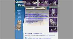 Desktop Screenshot of calcifire-cats.com