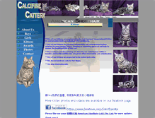 Tablet Screenshot of calcifire-cats.com
